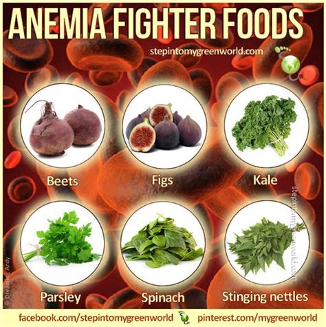 Healthy Diet For Anemia Patients - cloudinter