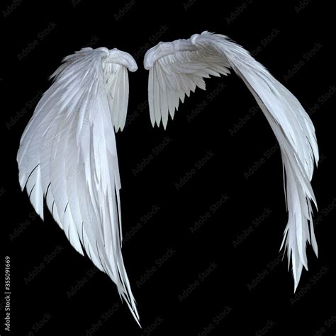 Angel Wings Black Background