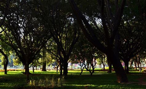 Cubbon Park | Cubbon Park Monuments | Cubbon Park History