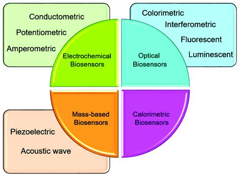 Four different classes and sub-classes of biosensors based on the type... | Download Scientific ...