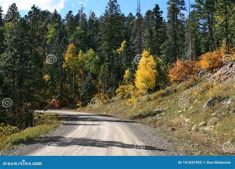 Fall Colors in the Mountains Stock Image - Image of fall, road: 101831955