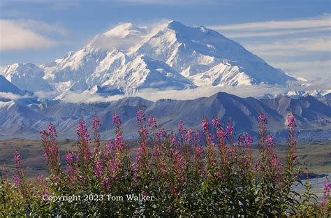 Alaska Landscapes Photography | Tom Walker Photography