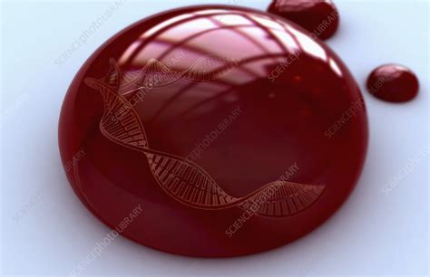 'DNA Blood' - Stock Image - F002/3917 - Science Photo Library