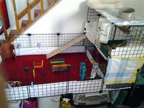 Build a Guinea Pig Cage With Cubes and Corrugated Plastic (C&C ...