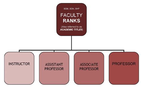 Understanding the Faculty Ranks and Tracks