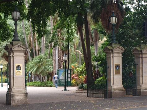 Brisbane Botanic Gardens (Brisbane) - Visitor Information & Reviews