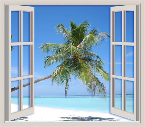 Palm Tree Beach View Free Stock Photo - Public Domain Pictures