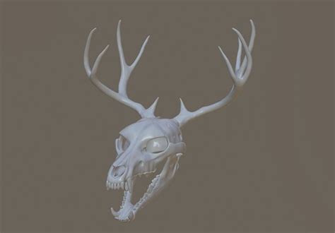 Wendigo Skull V1 3D model 3D printable | CGTrader