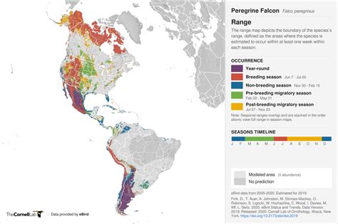 Making Sense of the Peregrine Falcon’s Variable Migration Patterns ...