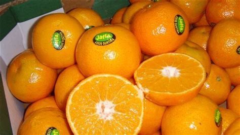 Jaffa orange - Alchetron, The Free Social Encyclopedia