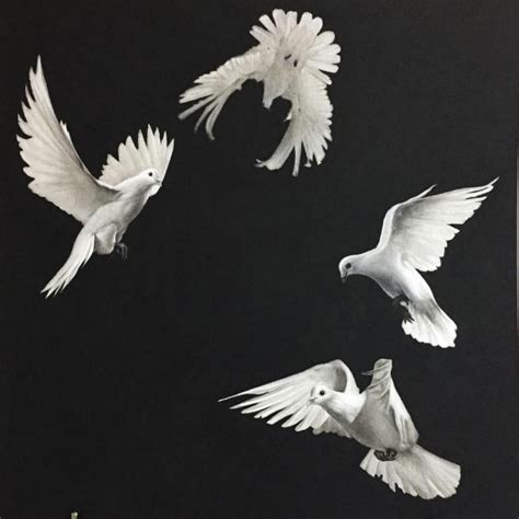 "White Doves" | Dove painting, White doves, Nature birds