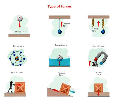 Types of Forces Diagram in 2023 | School posters, Science diagrams, Diagram