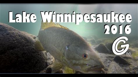 Lake Winnipesaukee Fishing | 2016 - YouTube