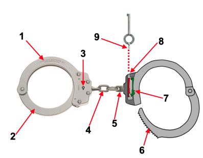 Handcuffing Diagram | Quizlet