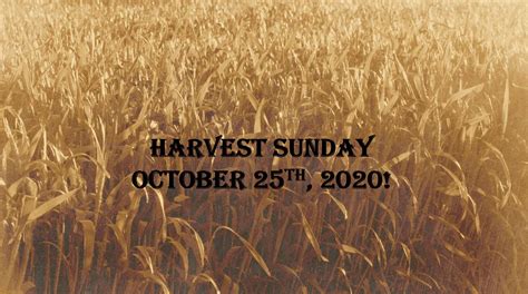 Harvest Sunday! - LEVY CHURCH OF CHRIST