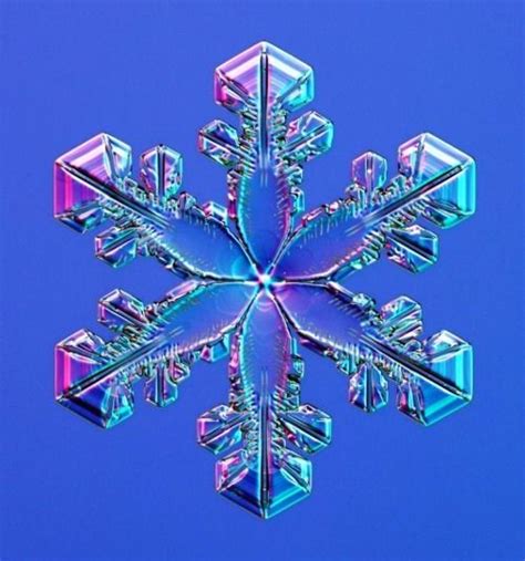 Snow crystal | Snowflakes real, Snowflake photography, Snowflake photos