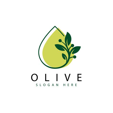 fresh olive logo, water leaf logo, green olive logo 8214743 Vector Art ...