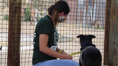 The Animal Defense League of Texas brought some interesting guests to the San Antonio Zoo : r ...