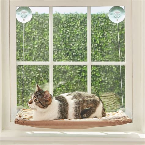 OSTER Sunny Seat Cat Window Perch, Brown - Chewy.com