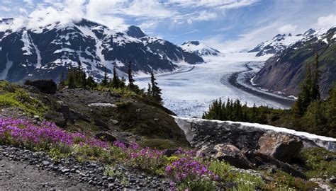 Alaskan Tundra Facts | Sciencing