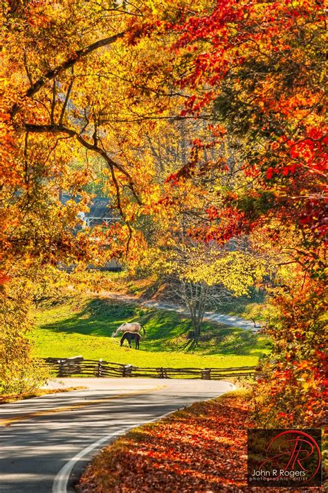 Autumn Leaves on the North Carolina back roads | Autumn scenery ...