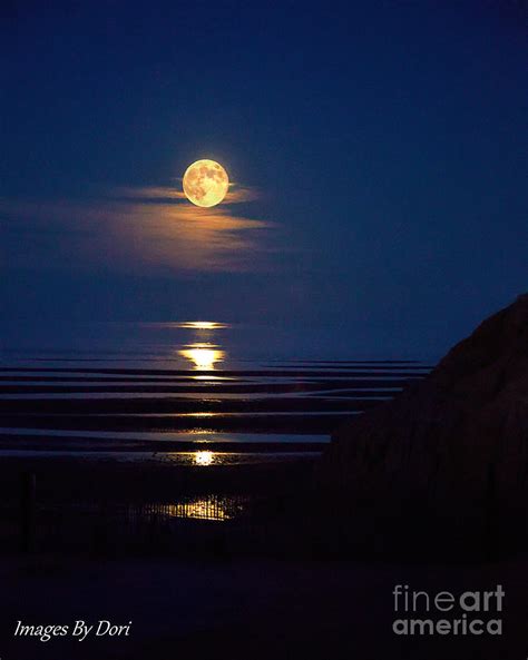 Full Moon Over Sea Of Cortez Photograph by Dori McLaurin