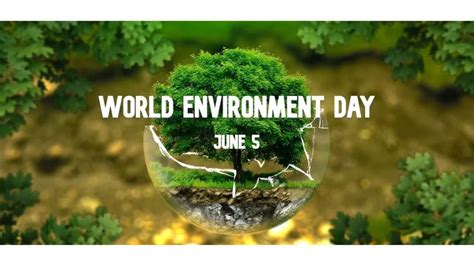 World Environment Day 2023: Significant And Importance | New Spotlight ...