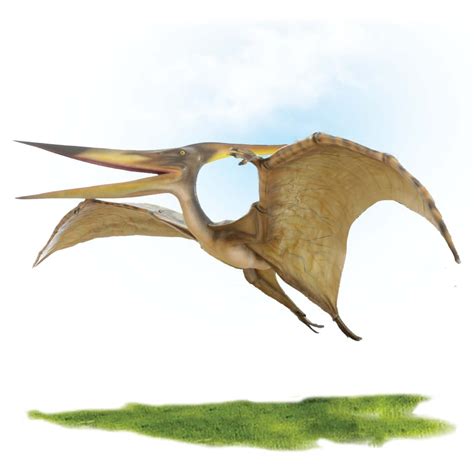 Pteranodon Dinosaur Flying 8m Wingspan Sculptures - Natureworks