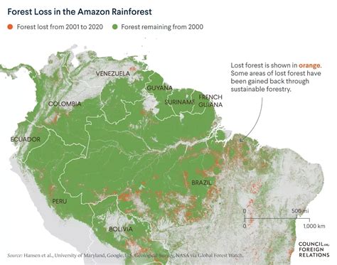 Ending Amazon Deforestation: The Future of the World’s largest Rainforest