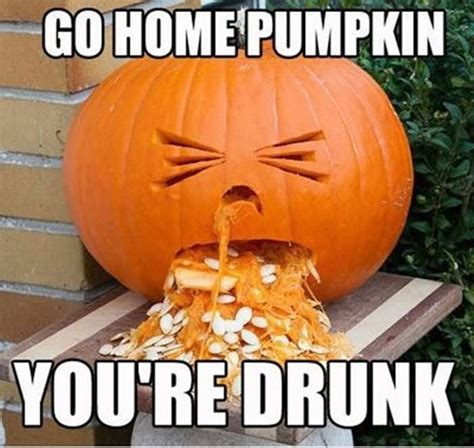 45 Very Funny Pumpkin Memes Images, Graphics & Photos - Picsmine