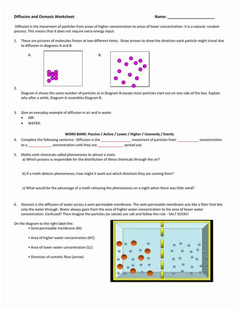 Diffusion and Osmosis Worksheet Elegant Diffusion and Osmosis Worksheet ...