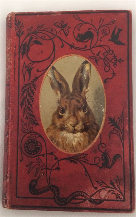 Book with great rabbit image | Vintage book covers, Beautiful book covers, Antique books