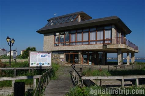 Pomorie Lake Visitor Centre: Bird watching - BgNatureTrip