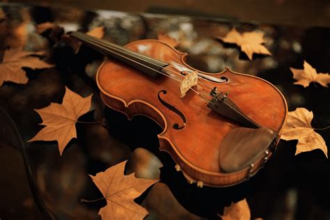 Download Instrument Leaf Fall Music Violin HD Wallpaper