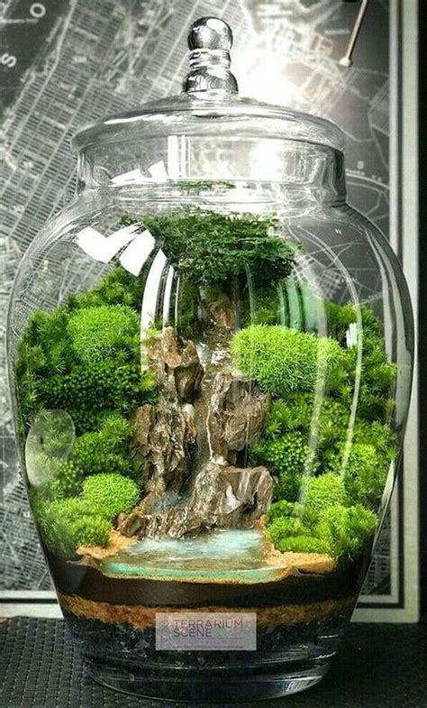 What Plants Can I Grow in a Jar? | Miniature garden, Garden terrarium ...