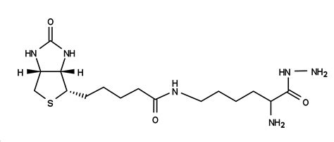 Biocytin hydrazide *CAS 102743-85-1* | AAT Bioquest