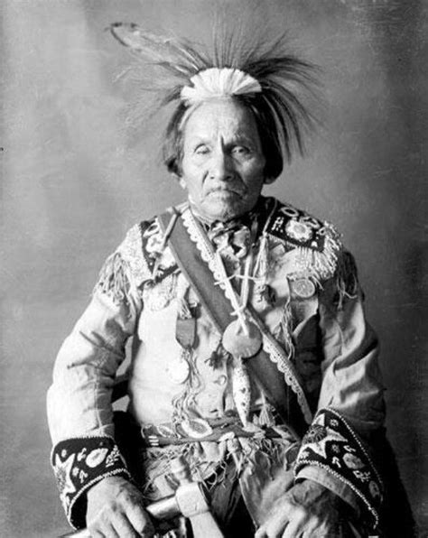 Iroquois elder | Native american tribes, Native american indians ...