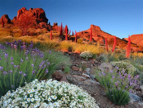 Parques Nacionales en las Islas Canarias | Hola Islas Canarias