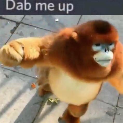 dab me up monke | Dab Me Up Emoji | Know Your Meme