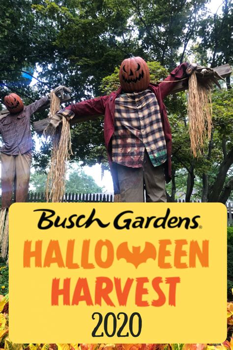 Busch Gardens Williamsburg Halloween 2020 Event (Family Friendly)