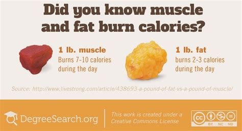 How does stored fat leave your body when you burn it off? - - Practical ...