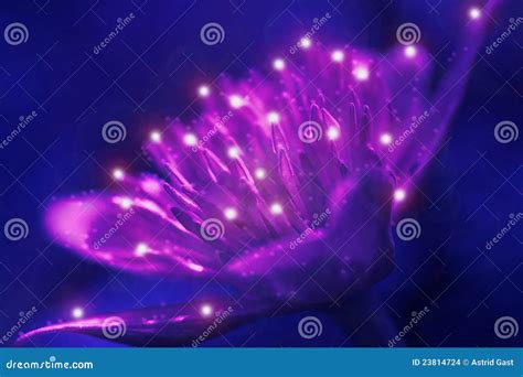 Avatar Flower Stock Images - Image: 23814724