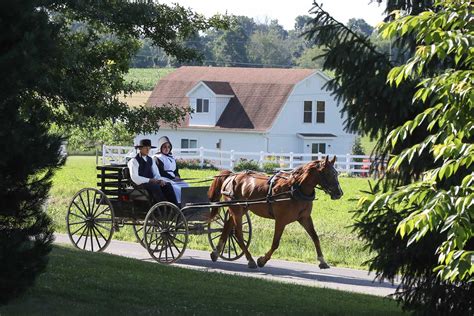 How the Amish Celebrate Christmas | Holiday Smart