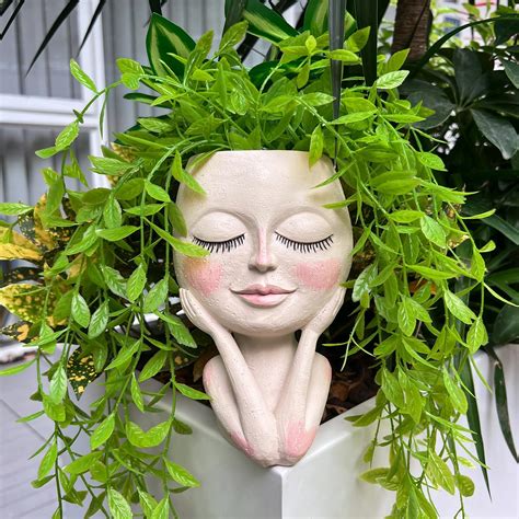 Amazon.com : Powrma Smiling Plant Pot with Middle Fingers Up, Flower Pots for Succulents Flower ...