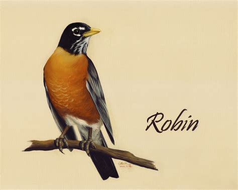 Robin - Bird Oil Painting - Realistic | Artistic Realism Art Studio