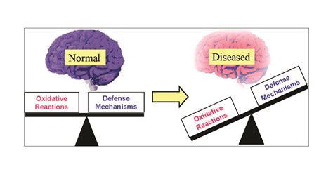 Oxidative Stress and Neurotoxicity | Chemical Research in Toxicology