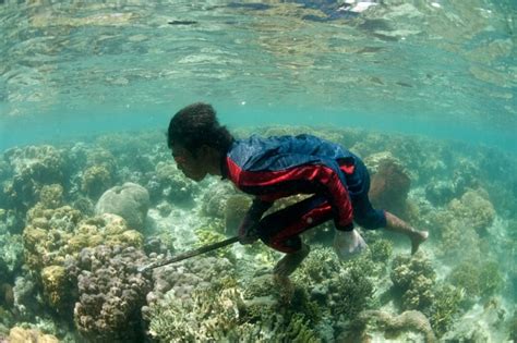 The surprising trait of the deep-diving 'sea nomads' of southeast Asia | CBC Radio