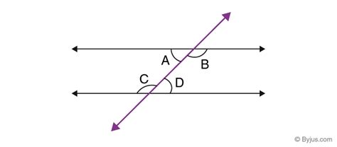 what are alternate interior angles - Maths - Lines and Angles - 997042 ...