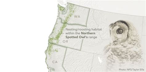 Northern Spotted Owl Habitat Map