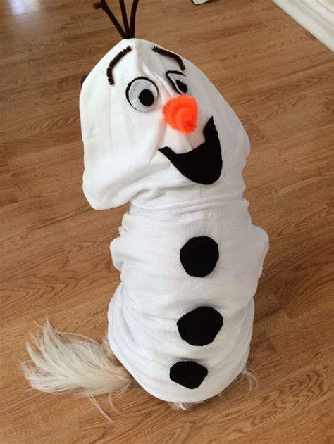 Christmas dog outfits, Diy dog costumes, Dog halloween costumes